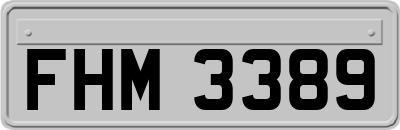 FHM3389