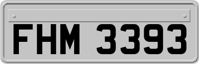 FHM3393