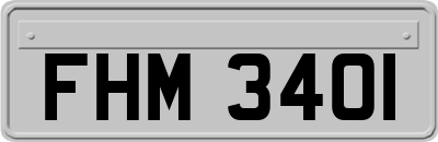 FHM3401