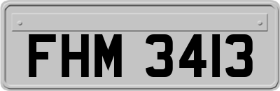 FHM3413