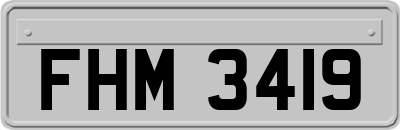 FHM3419