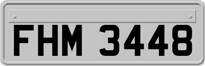 FHM3448