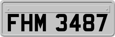 FHM3487