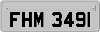 FHM3491