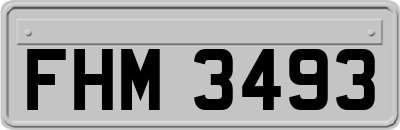 FHM3493