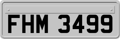 FHM3499
