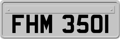 FHM3501