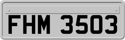 FHM3503