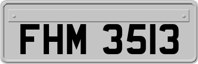 FHM3513