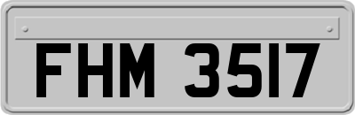 FHM3517