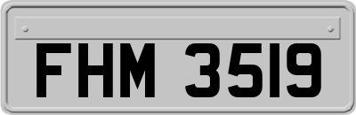 FHM3519
