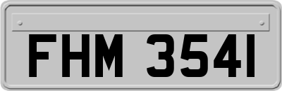 FHM3541