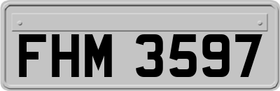 FHM3597