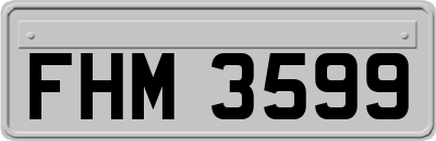 FHM3599
