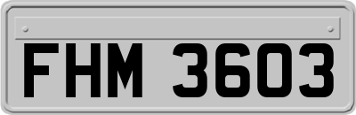 FHM3603