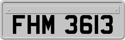FHM3613