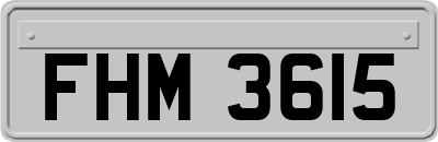 FHM3615
