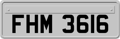 FHM3616