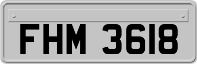 FHM3618