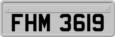 FHM3619