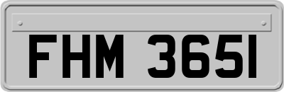 FHM3651
