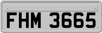 FHM3665