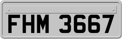 FHM3667