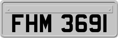 FHM3691