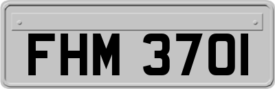 FHM3701