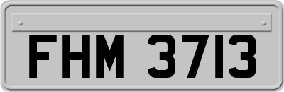 FHM3713