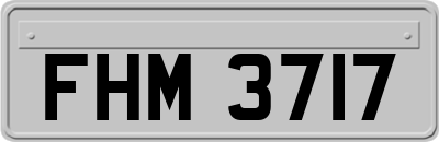 FHM3717