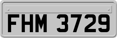 FHM3729
