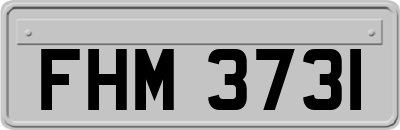 FHM3731