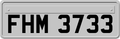 FHM3733