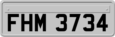 FHM3734
