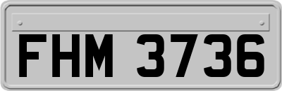 FHM3736