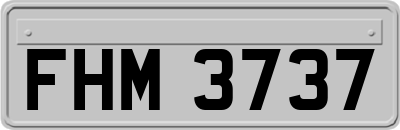FHM3737