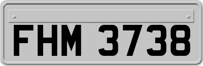 FHM3738