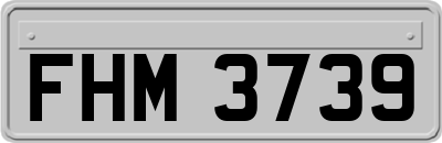 FHM3739