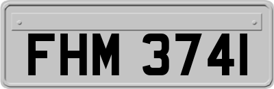 FHM3741