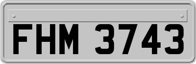 FHM3743