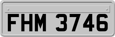 FHM3746
