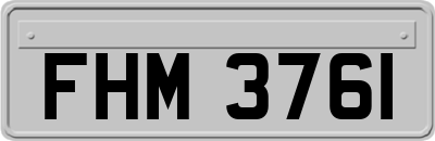 FHM3761