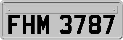 FHM3787