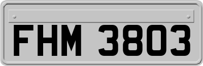 FHM3803