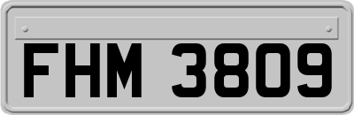 FHM3809