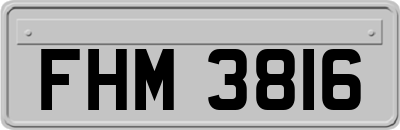 FHM3816