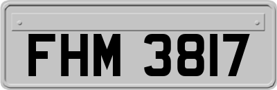 FHM3817