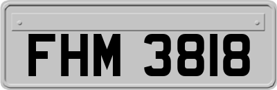 FHM3818