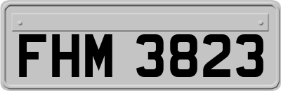 FHM3823